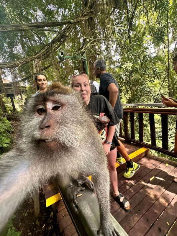 Best Ubud Tour - Ubud Instagramable Tour - Key Points