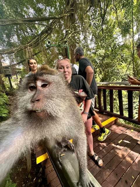 Best Ubud Tour - Ubud Instagramable Tour - FAQ