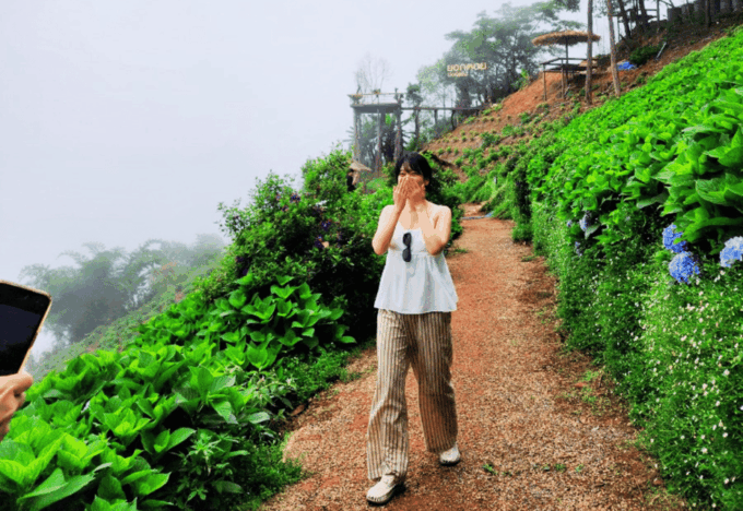 Best Value : Mon Jam, Doi Suthep, Wat Umong and Fluer Cafe - Fleur Cafe