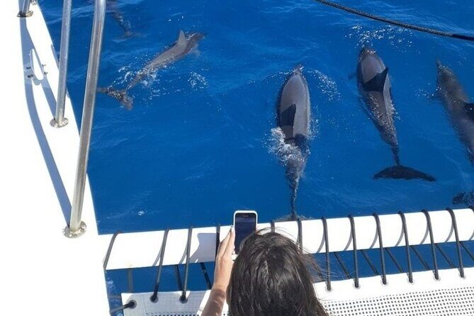 Best Waikiki Snorkel Tour: Guaranteed Turtles at Turtle Canyon - The Crew: Knowledgeable, Friendly, and Safety-Conscious