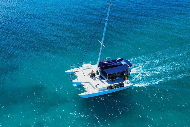 Best Waikiki Whale Watching in Honolulu: Whales Guaranteed - FAQ