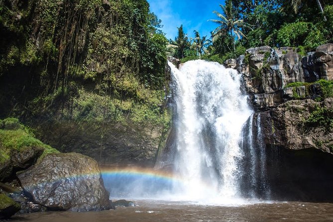 Best Waterfall & Kintamani Tour - Tour Highlights