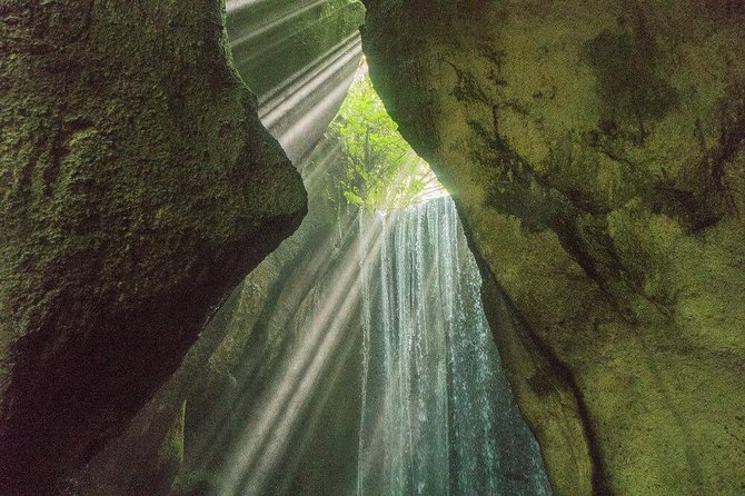 Best Waterfall & Kintamani Tour - Conditions and Restrictions