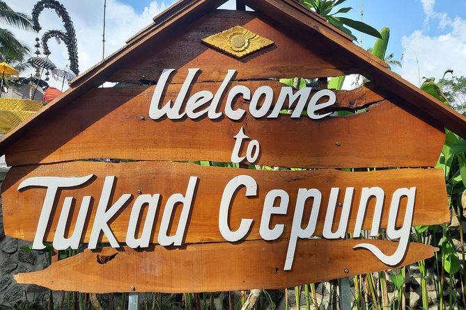 Best Waterfall & Kintamani Tour - Tips for an Enjoyable Experience