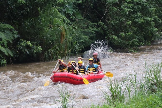 Best White Water Rafting in Bali - Lunch and Refreshments