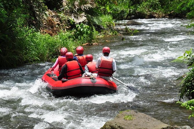 Best White Water Rafting in Bali - Accessibility and Suitability