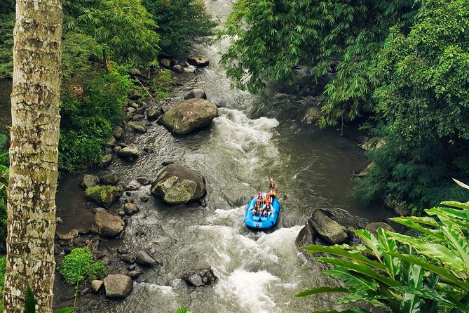 Best White Water Rafting With Lunch and Private Transfer in Bali - Inclusions