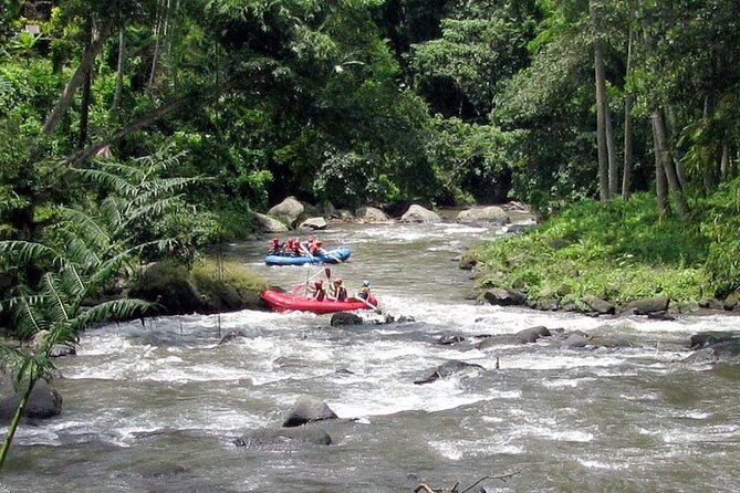 Best White Water Rafting With Lunch and Private Transfer in Bali - Experience Details