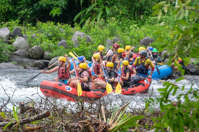 Best Whitewater Rafting Sarapiqui River, Costa Rica, Class III-IV - Highlights of the Sarapiqui River