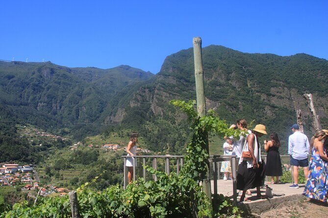 Bestselling Wine Tour, Tasting Experience & Skywalk 4x4 Adventure - Introduction: A Unique Madeira Experience for Curious Travelers