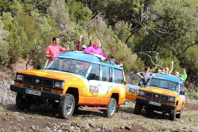 Bestselling Wine Tour, Tasting Experience & Skywalk 4x4 Adventure - An In-Depth Look at the Tour