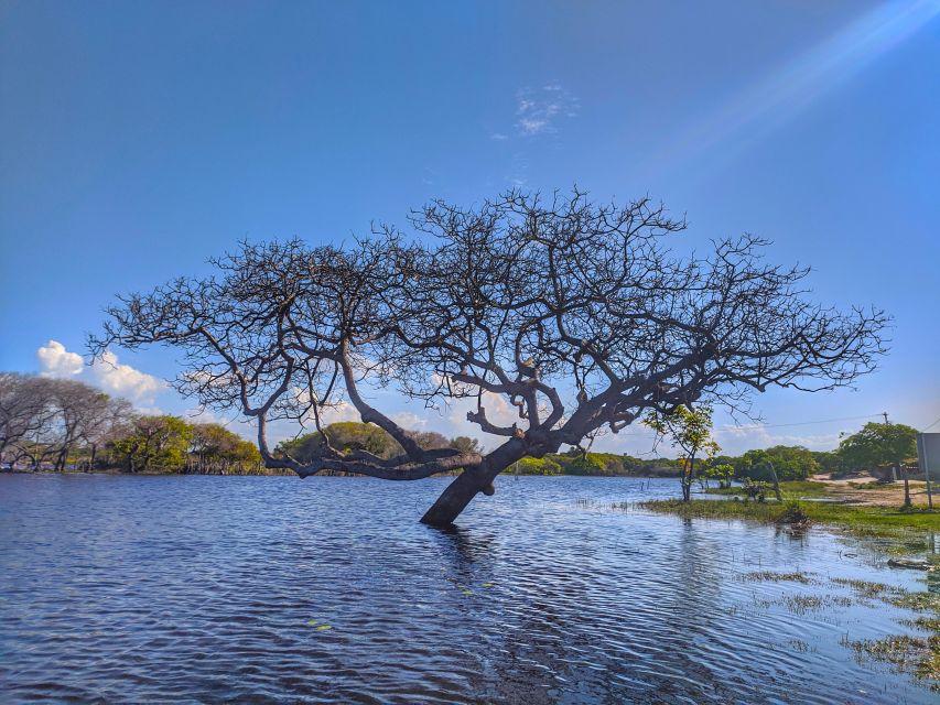 Betânia Lagoon Circuit (Santo Amaro) - Tips for a Great Experience