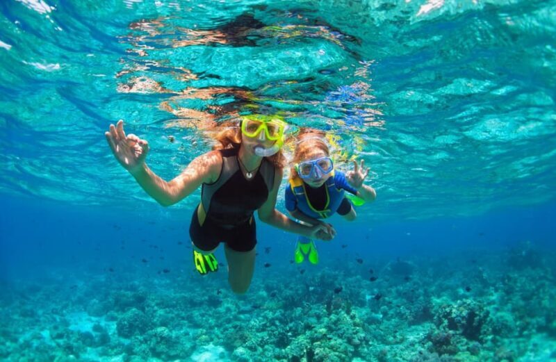 Between Cliffs and Sea: Trip to Cadaqués and Paradise swim - A Closer Look at the Experience