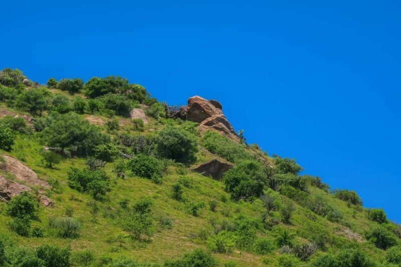 Between haciendas and temples: a tour of the mining heart of Pastita - Discovering Guanajuato’s Origins: A Closer Look