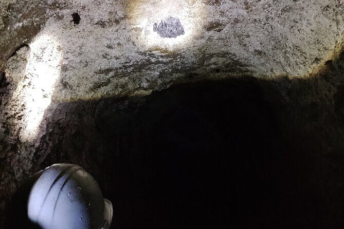 Between Tunnels and Bats - An In-Depth Look at the Tour Experience