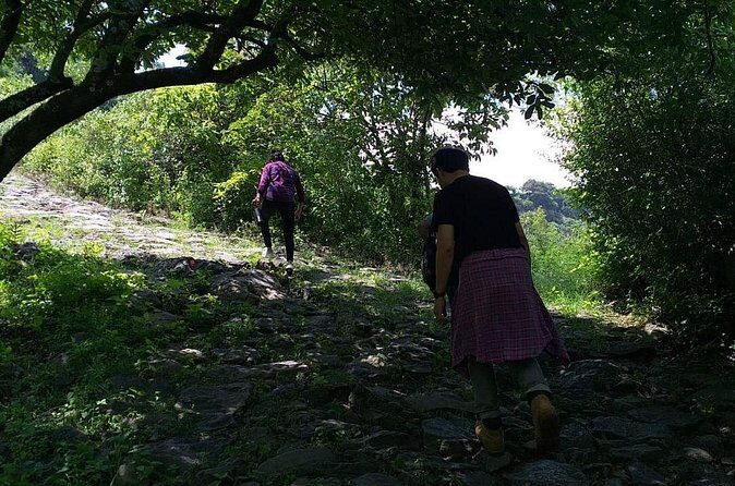 Between Tunnels and Bats - Who Should Consider This Tour?