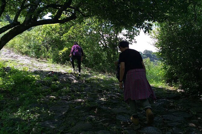 Between Tunnels and Bats - FAQ