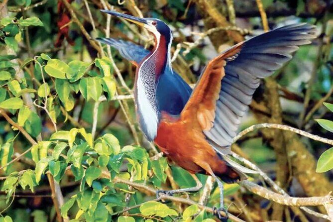 Beyond Bacalar: Pirate Route Exploration + River Float + Lunch - FAQs