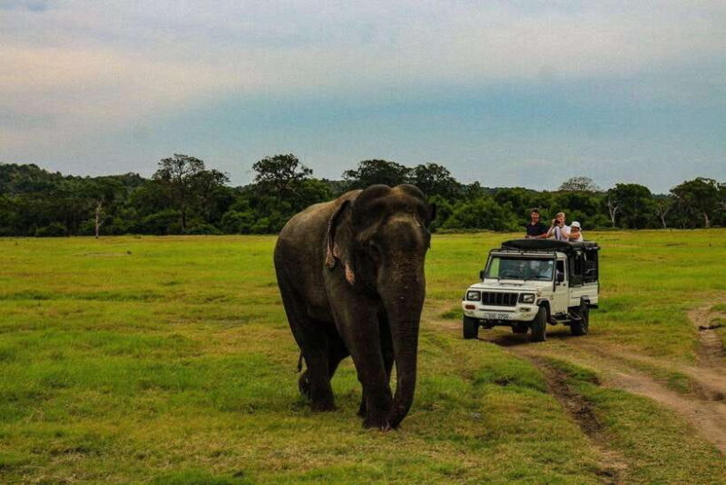 Beyond Beaches: 4-Day trip into Sri Lankas Cultural Heart - Key Points
