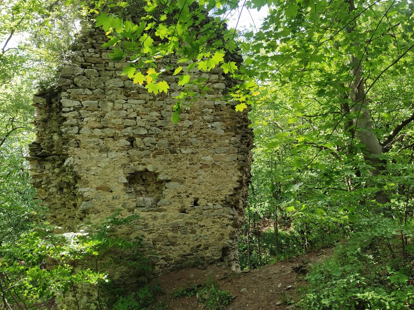 Beyond Brno: Secrets of Moravian Nature - Half-Day Tour - Key Points  