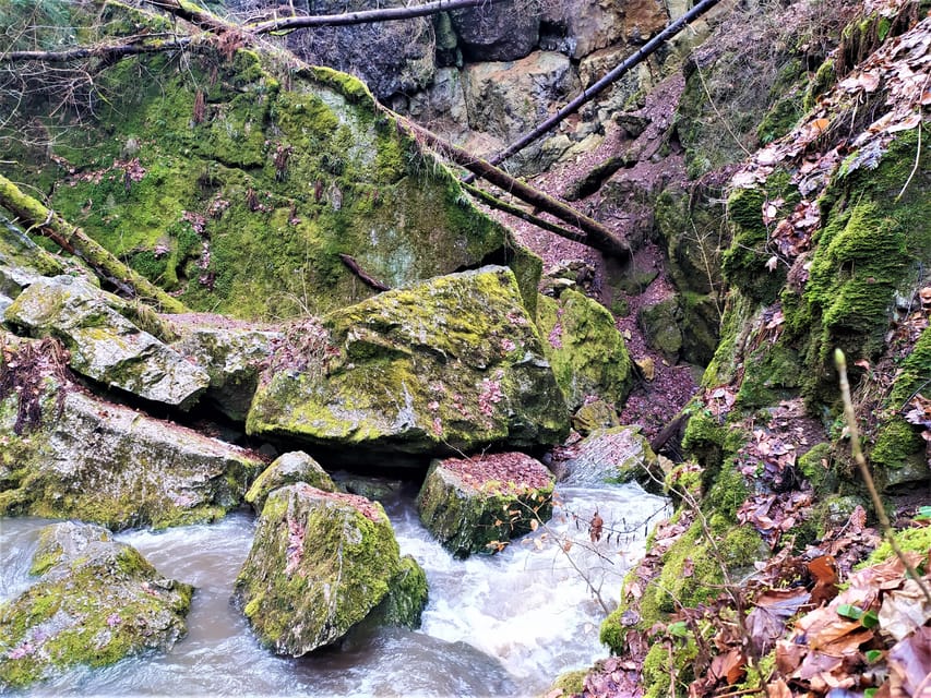 Beyond Brno: Secrets of Moravian Nature - Half-Day Tour - FAQ  