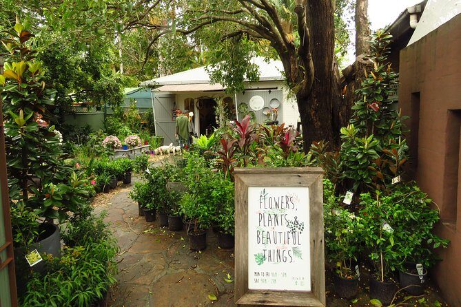 Beyond Byron Hinterland Tour - Why This Tour Stands Out