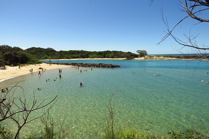 Beyond Byron Hinterland Tour - Exploring the Itinerary: What You’ll Experience