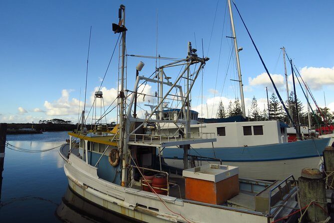 Beyond Byron Hinterland Tour - Final Thoughts