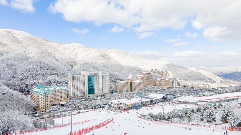Beyond Seoul: Ski&Sled Adventure at Sono Belle Vivaldi Park - Skiing Experience