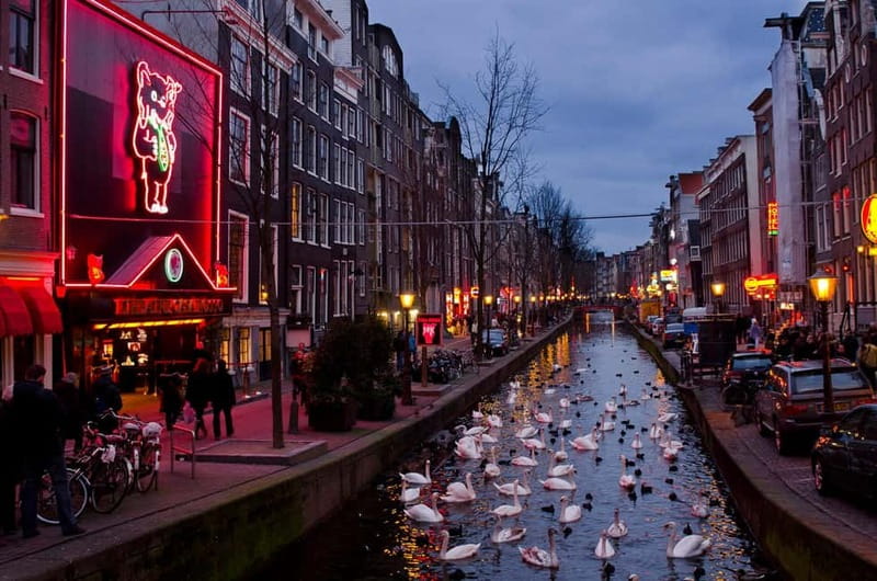 Beyond the Coffee Shops: Amsterdams Underground Drug Story - Final Thoughts
