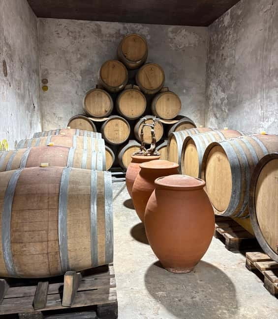 Béziers: Wine and Oyster Tasting Tour at Thau lagoon - Why Choose This Tour?