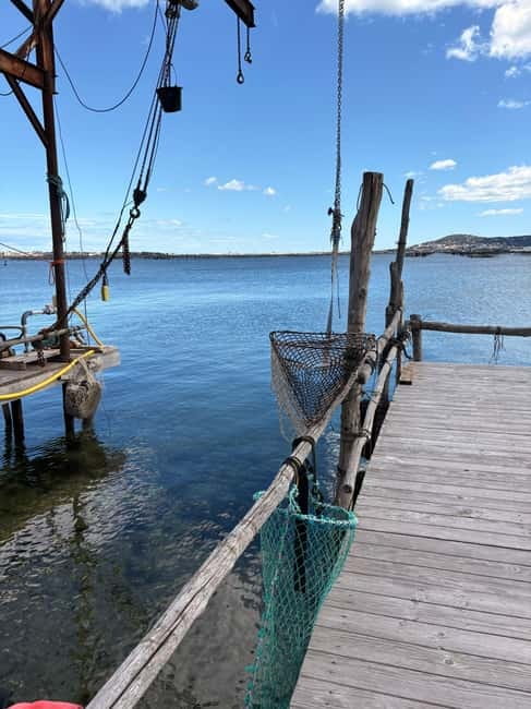 Béziers: Wine and Oyster Tasting Tour at Thau lagoon - The Experience in Context