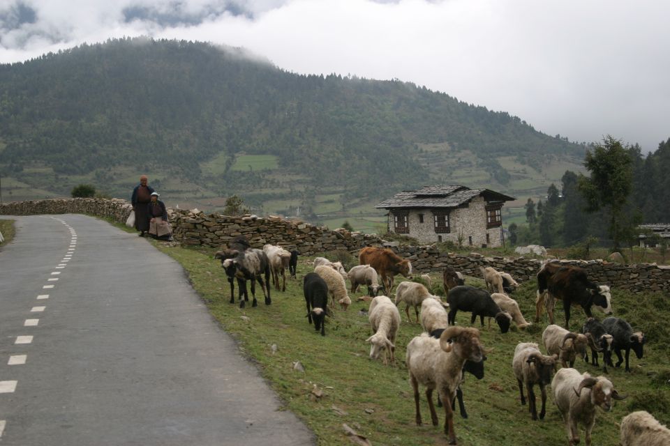 Bhutan: 15 Day Best of Bhutan - Accommodation Details
