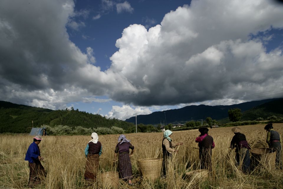 Bhutan: 15 Day Best of Bhutan - Meal Inclusions