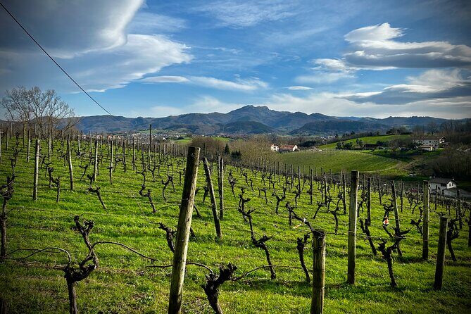 Biarritz: Full day excursion to visit the Basque coast! - FAQ