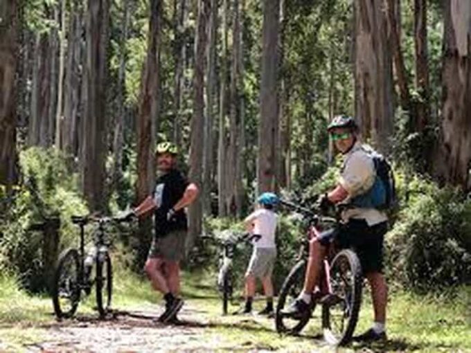Bicycle Adventure: Bandarawela to Karadagolla Tour - Not Suitable For