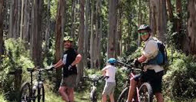 Bicycle Adventure: Bandarawela to Karadagolla Tour - Additional Information
