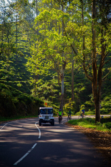 Bicycle Adventure-Bandarawela to Punagala & Tea Factory Tour - Frequently Asked Questions