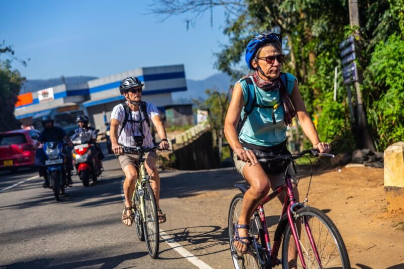 Bicycle Adventure : Explore Udawalawa From Ella - Itinerary Highlights