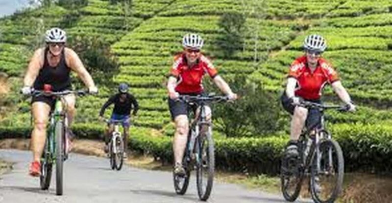 Bicycle Adventure-Liptons Seat & Dambetenna Tea Factory Tour - Itinerary and Experience