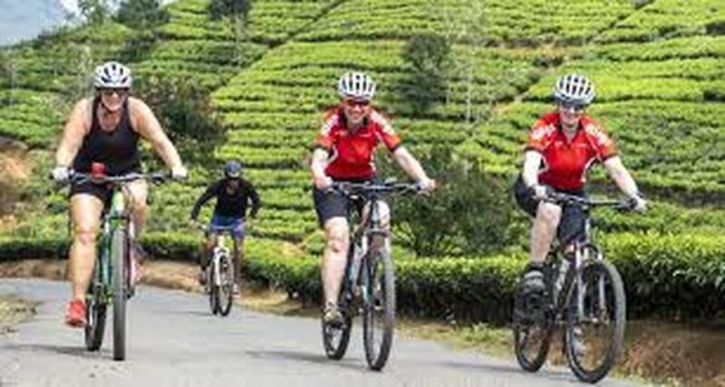 Bicycle Adventure-Liptons Seat & Dambetenna Tea Factory Tour - Inclusions and Exclusions