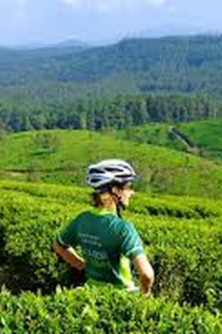Bicycle Adventure-Liptons Seat & Dambetenna Tea Factory Tour - Dambetenna Tea Factory Exploration