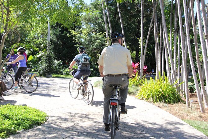 Bicycle Rental in Miami Beach - Customer Reviews and Feedback