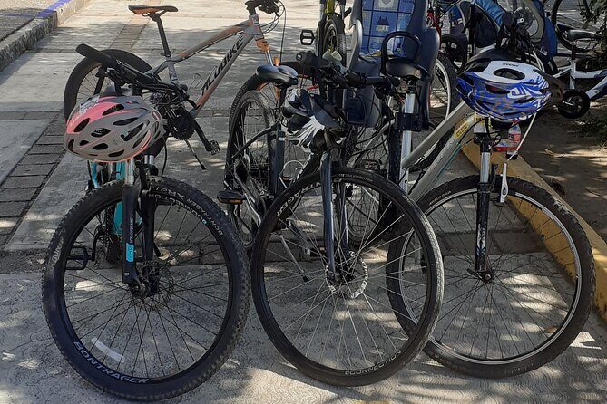 Bicycle Tour in Ixtapa - The Sum Up: Why Choose This Bicycle Tour?