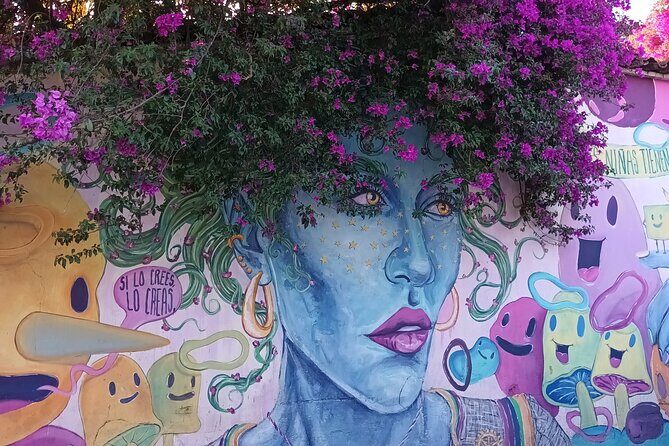 Bicycle Tour through Oaxaca learning about its Urban Art and History - Detailed Breakdown of the Itinerary