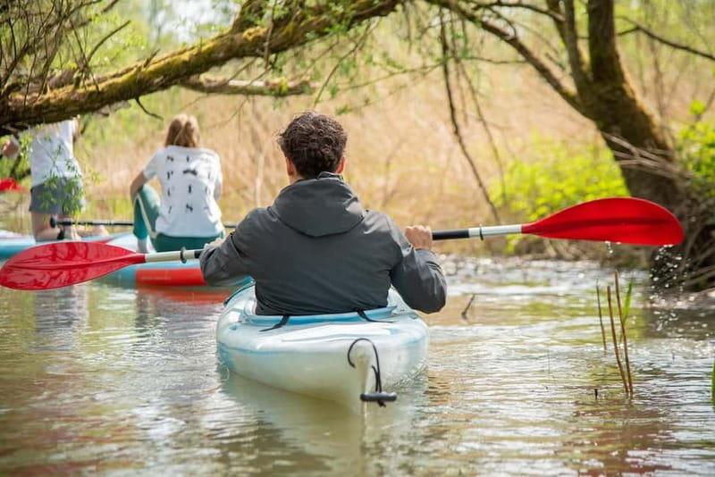 Biesbosch: Kayak Rental with Route Map and Life Jacket - An In-Depth Look at the Biesbosch Kayaking Experience