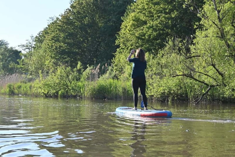 Biesbosch: SUP Board Rental - An Honest Look at the SUP Rental Experience