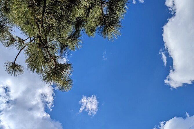 Big Bear Backyard Tasting with Wine, Beer, Charcuterie Fun Vibes - Final Thoughts