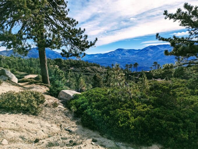 Big Bear: Family-Friendly Nature Walk W Hot Chocolate - Exploring Big Bears Unique History