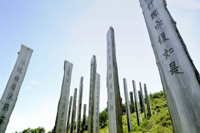 Big Buddha: Walk With Skip-The-Line NP360 Cable Car - Customer Feedback and Ratings